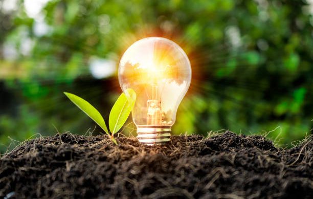 Phiona Hutton Counsellor and Integrative therapist, in person Havant, Hampshire or online nationwide. A light bulb glowing above a small plant sprouting from dark soil.