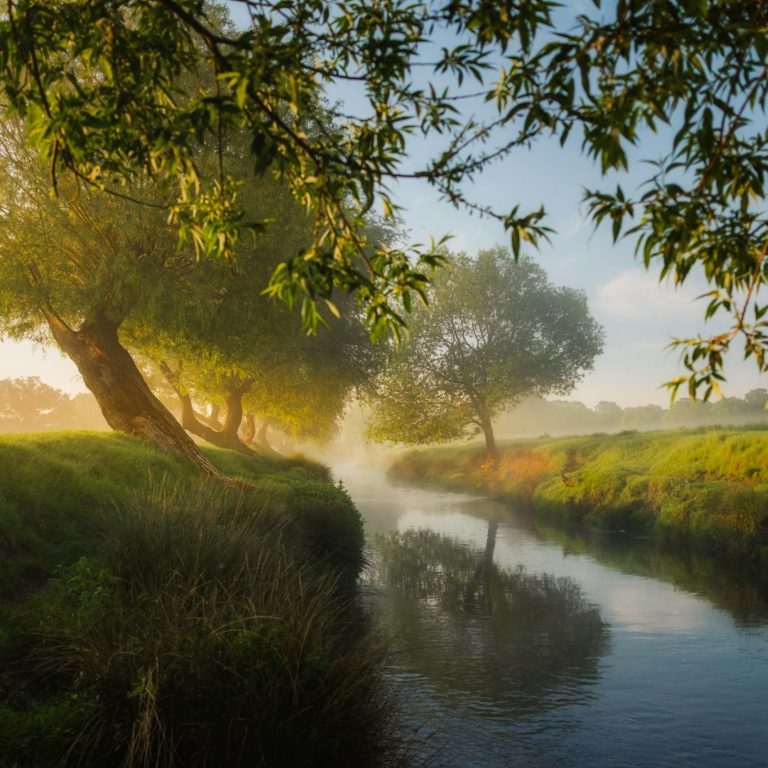 Seasonal Living group Serene riverside scene with trees and mist reflecting in calm waters.