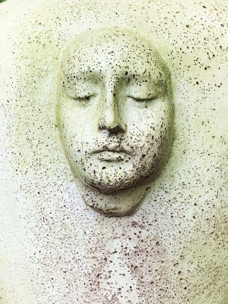 A close-up of a serene face partially embedded in textured, speckled material.